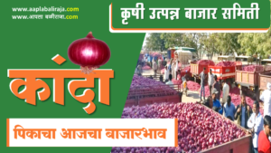 Onion Market Price Daily Update Maharashtra