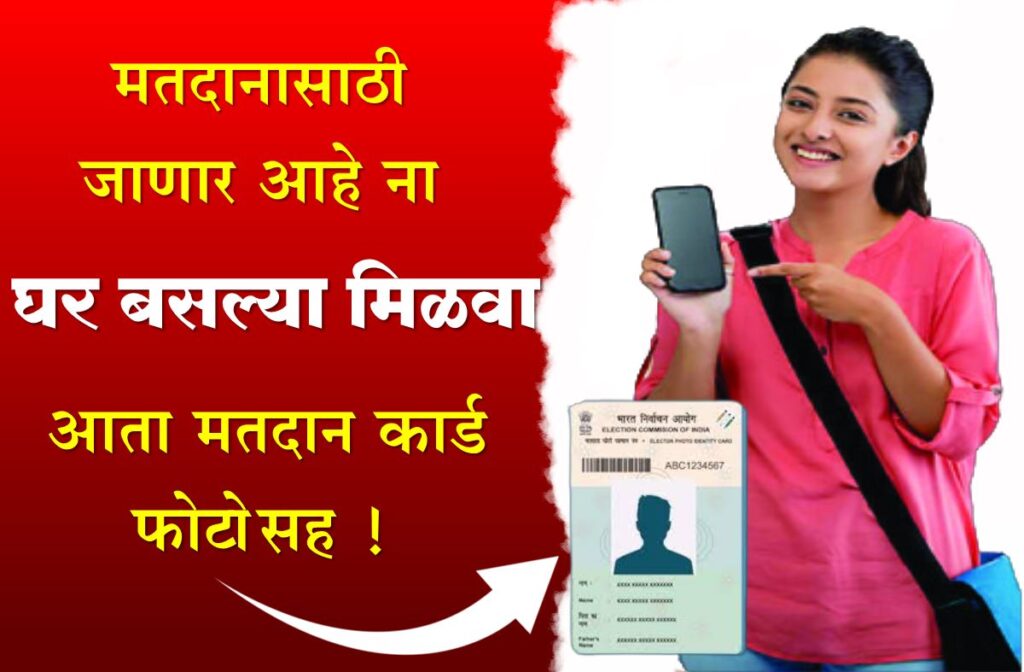 Voter id card check online